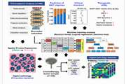 Machine learning-based integration of transcriptome and digital pathology for predicting chemoresistance in muscle-invasive bladder cancer